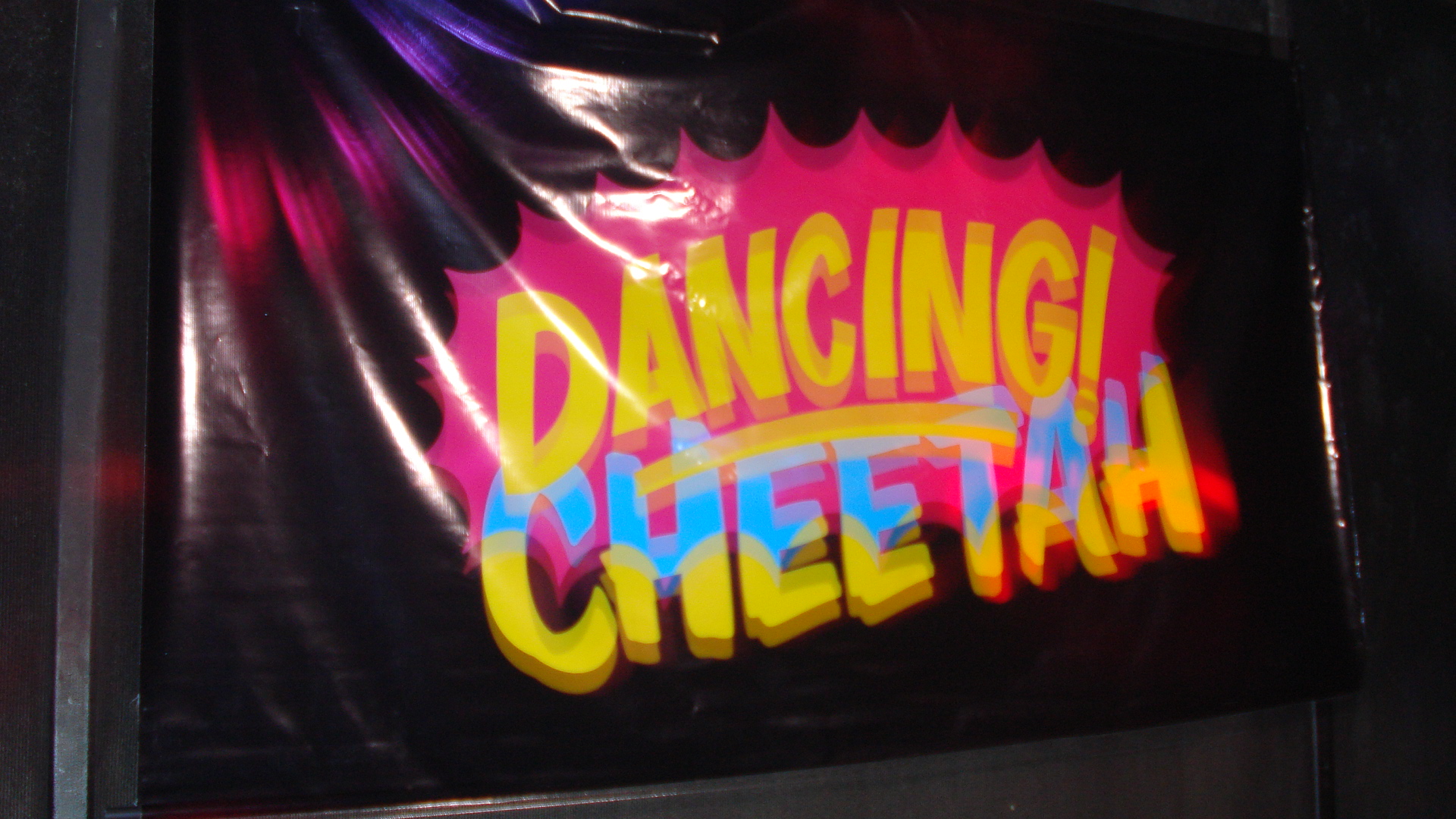 Dancing Cheetah returns in 2011, bringing World Music 2.0 to the Carioca Ear